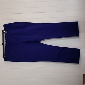 Worthington slim fit ankle, size 16. Purple/blue color- blueberry